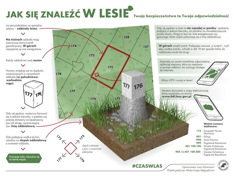 Odkryj aplikację, która pomoże Ci wyjść z lasu – skuteczne narzędzia nawigacyjne dla każdego poszukiwacza przygód