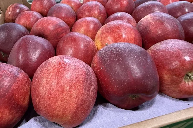 Ceny iPhone w Niemczech